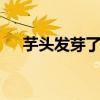 芋头发芽了还能不能吃 芋头发芽有毒吗