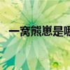 一窝熊崽是哪个的品牌  一窝熊崽什么品牌