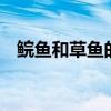 鲩鱼和草鱼的区别 广东鲩鱼和草鱼的区别