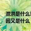 泄洪是什么意思为什么要泄洪 泄洪是什么原因又是什么