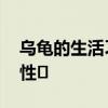乌龟的生活习性是什么 乌龟的生活有哪些习性	