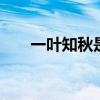一叶知秋是什么意思 一叶知秋的意思
