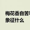梅花香自苦寒来含义是什么 梅花香自苦寒来象征什么 