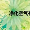 净化空气有哪些 常见净化空气的方法