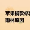 苹果捐款修复雨林是怎么回事 苹果捐款修复雨林原因