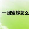 一团蜜蜂怎么找蜂王 结团的蜜蜂怎么找蜂王