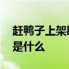 赶鸭子上架歇后语 赶鸭子上架歇后语下一句是什么