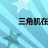 三角肌在哪个位置 三角肌锻炼方法