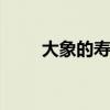 大象的寿命 大象的寿命约为多少年