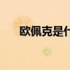 欧佩克是什么意思 欧佩克是什么组织 