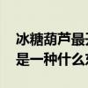 冰糖葫芦最开始是一种什么 冰糖葫芦最开始是一种什么东西