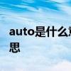auto是什么意思车上的 车上的auto是什么意思
