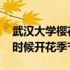 武汉大学樱花什么时候开 武汉大学樱花什么时候开花季节