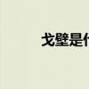 戈壁是什么意思 戈壁指的是什么