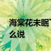 海棠花未眠下一句 海棠花未眠下一句应该怎么说