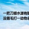 一把刀顺水漂有眼睛没眉毛打一动物名 一把刀顺水漂有眼睛没眉毛打一动物名是什么