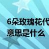 6朵玫瑰花代表什么意思  6朵玫瑰花代表什么意思是什么