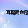 耳提面命是什么意思 耳提面命什么意思