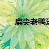 扁尖老鸭汤的做法 老鸭扁尖汤怎么做