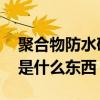 聚合物防水砂浆是什么材料 聚合物防水砂浆是什么东西 
