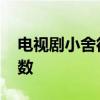 电视剧小舍得一共多少集 电视剧小舍得总集数