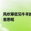 风吹草低见牛羊的见是什么意思 风吹草低见牛羊的见是什么意思呢