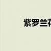 紫罗兰花语 紫罗兰的花语是什么