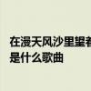在漫天风沙里望着你远去是什么歌 在漫天风沙里望着你远去是什么歌曲