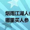 烟雨江湖人参哪里能买 游戏《烟雨江湖》在哪里买人参