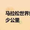 马拉松世界纪录是多少 马拉松世界纪录是多少公里