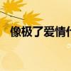 像极了爱情什么梗 像极了爱情表示什么梗