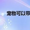宠物可以带出国吗 宠物可不可以带出国