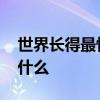 世界长得最快的植物 世界长得最快的植物是什么