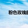 粉色玫瑰的花语是什么 粉玫瑰的花语