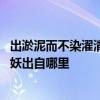 出淤泥而不染濯清涟而不妖的意思 出淤泥而不染濯清涟而不妖出自哪里