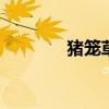 猪笼草怎么养 猪笼草如何养