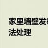 家里墙壁发霉怎么处理 墙壁发霉了用什么方法处理