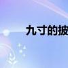 九寸的披萨有多大 九寸的披萨尺寸