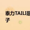 泰力TAILI是哪个的品牌 泰力TAILI是什么牌子