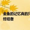 金鱼的记忆真的只有七秒吗 金鱼的记忆真的只有七秒吗流言终结者