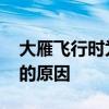 大雁飞行时为什么要排队 大雁飞行时要排队的原因