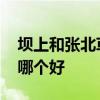 坝上和张北草原哪个好 坝上草原和张北草原哪个好