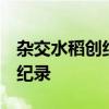 杂交水稻创纪录怎么回事  杂交水稻创了什么纪录