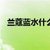 兰蔻蓝水什么功效 兰蔻蓝水适合什么肤质