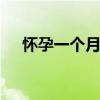 怀孕一个月的症状 怀孕一月的身体变化
