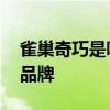 雀巢奇巧是哪个的品牌 雀巢巧克力是哪个的品牌