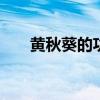 黄秋葵的功效与作用 吃黄秋葵的好处