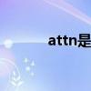 attn是什么的简称 attn是什么