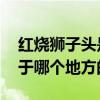 红烧狮子头是哪个地方的菜 红烧狮子头是属于哪个地方的菜