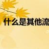 什么是其他流动资产 什么叫做其他流动资产